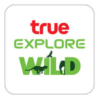 True Explore Wild